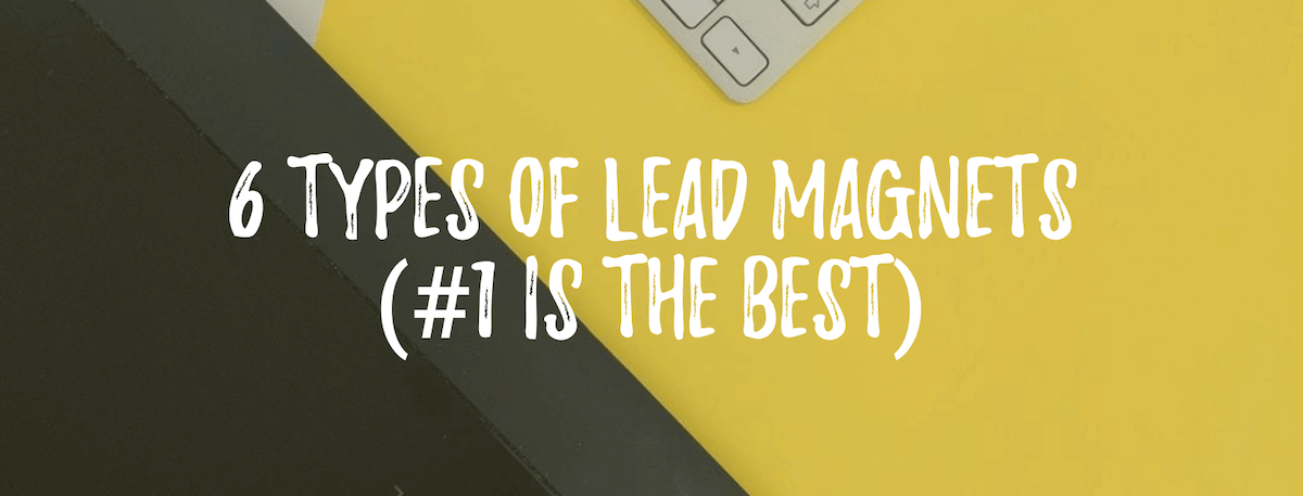 6 Types of lead magnets (#1 is the best) - BirdSend